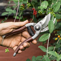 //ijrorwxhippjlj5p.ldycdn.com/cloud/libpmkrmlrsrjllnqqjqjp/top-garden-shears-manufacturers- and-suppliers-in-france.jpg