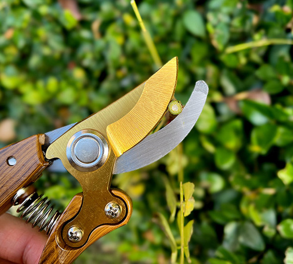 Garden Shears