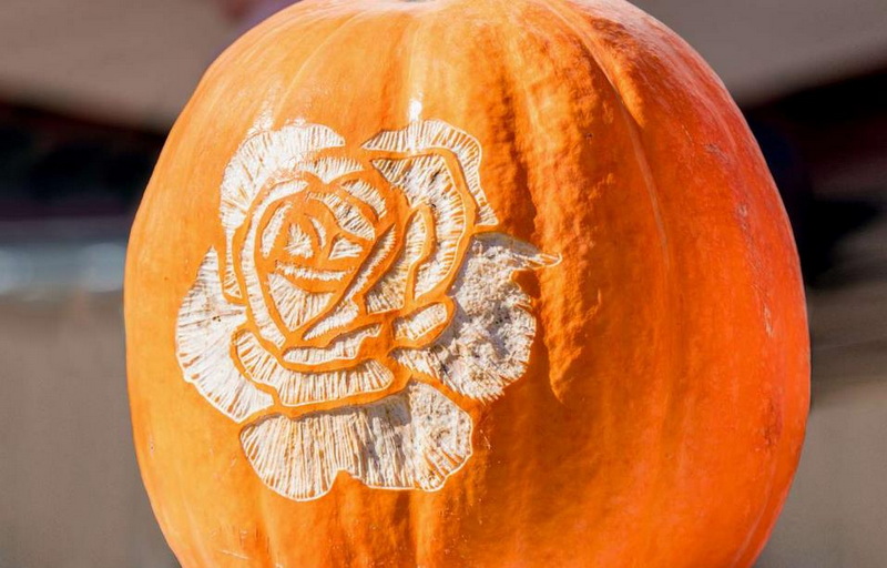 Essential Pumpkin Cutter Knife for Your Halloween Carving Projects 2