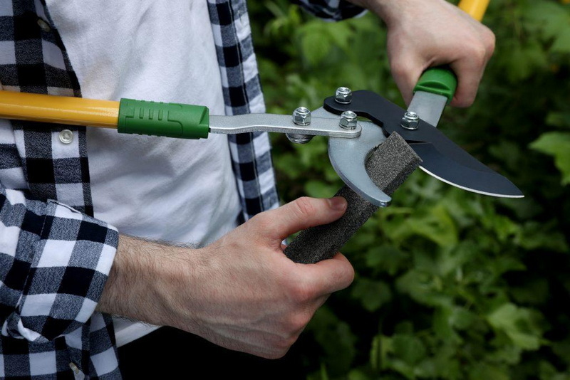 big tree cutter knife_1