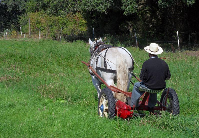 How To Find The Perfect Hay Cutter Knife for Your Farm 1