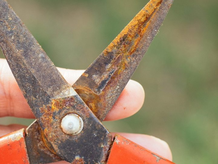 remove rust from hand tools_3