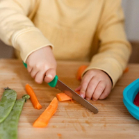 //ijrorwxhippjlj5p.ldycdn.com/cloud/lmBpmKrmlrSRilqnnjjrjo/kiddie-cutter-knife.jpg