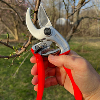 //ijrorwxhippjlj5p.ldycdn.com/cloud/lmbpmkrmlrsrjlnnjioijo/top-garden-shears-mancturers- and-suppliers-in-inith.jpg
