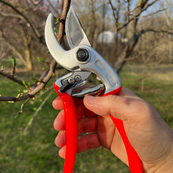 Top Garden Shears Manufacturers and Suppliers in Italy
