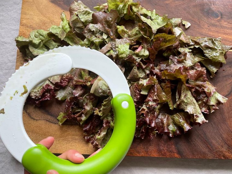 Which Lettuce Cutter Is Best for Evenly Sliced Salad