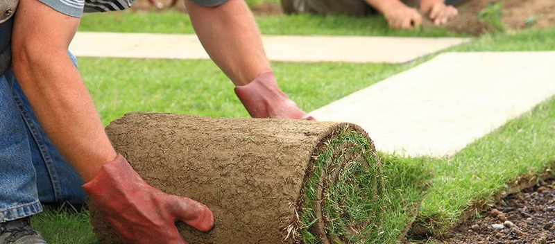 How to Choose the Best Turf Cutter Knife for Your Garden Projects