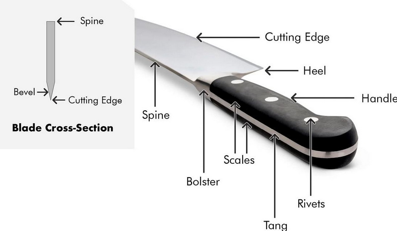 Which One Is Better for You Belt Cutter Knife vs Regular Cutter 1