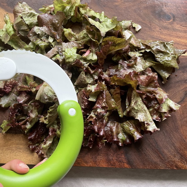 salad cutter knife