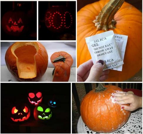 Essential Pumpkin Cutter Knife for Your Halloween Carving Projects